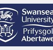 Swansea University